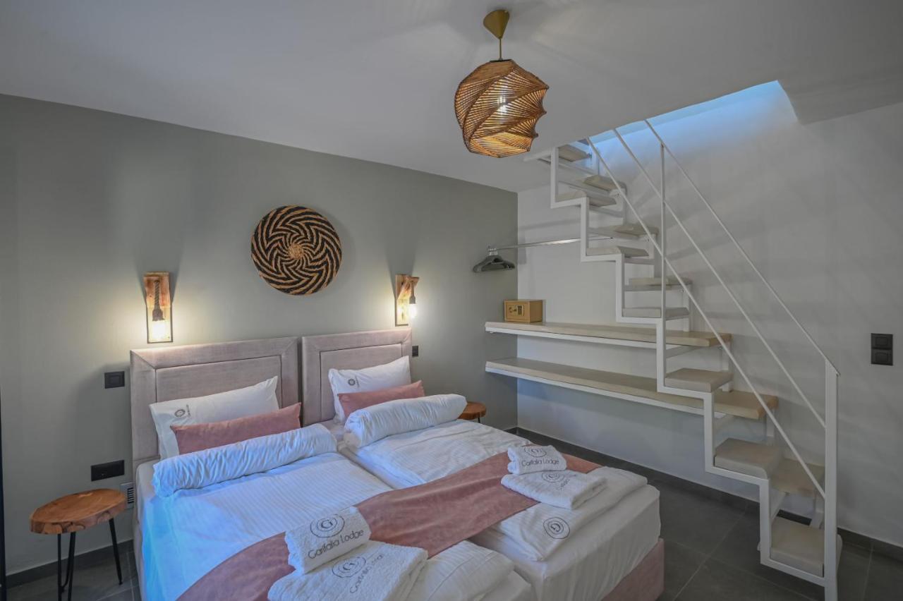 Villa Garifalia With Sauna & Hydromassage خانيا المظهر الخارجي الصورة